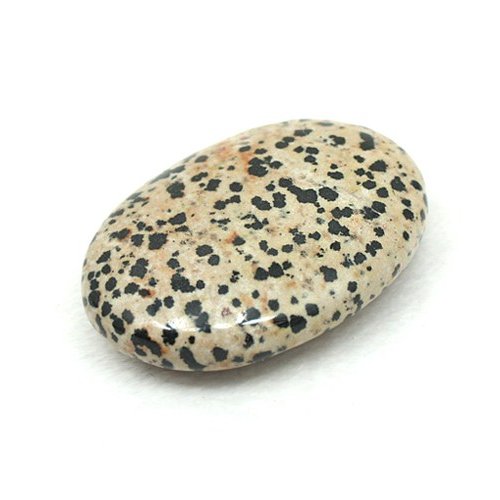 달마시안 재스퍼 보석괄사 24HW-839