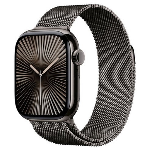 Apple  워치 시리즈10 42mm Cellular 슬레이트 티타늄
