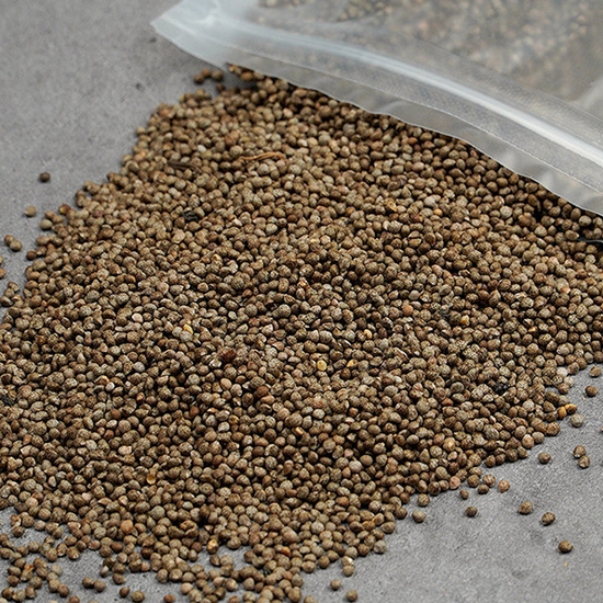 와포햇살 들깨 300g