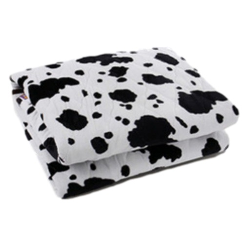 골드큐  달마시안 전기요