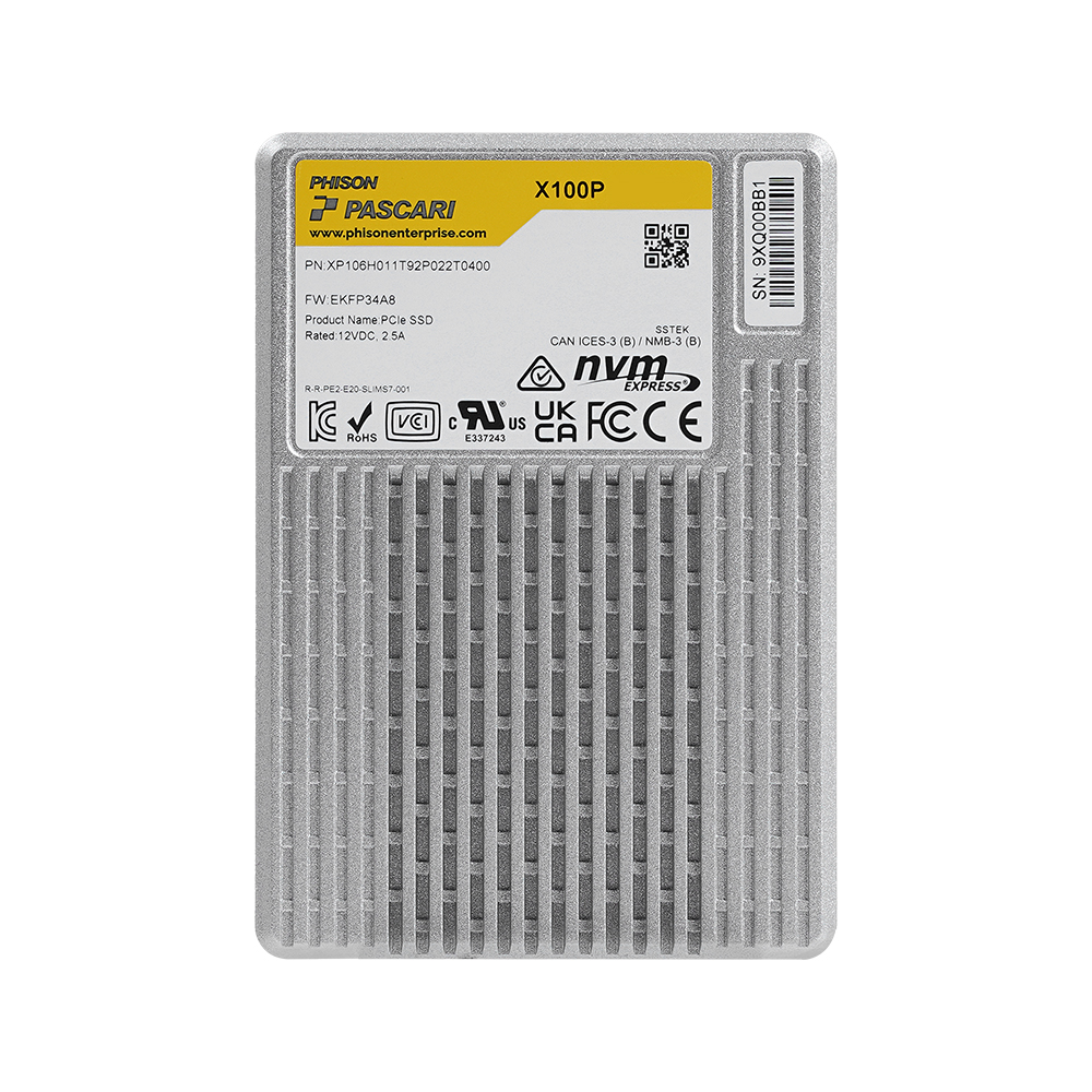 파이슨  X-Series X100P U.2 NVMe