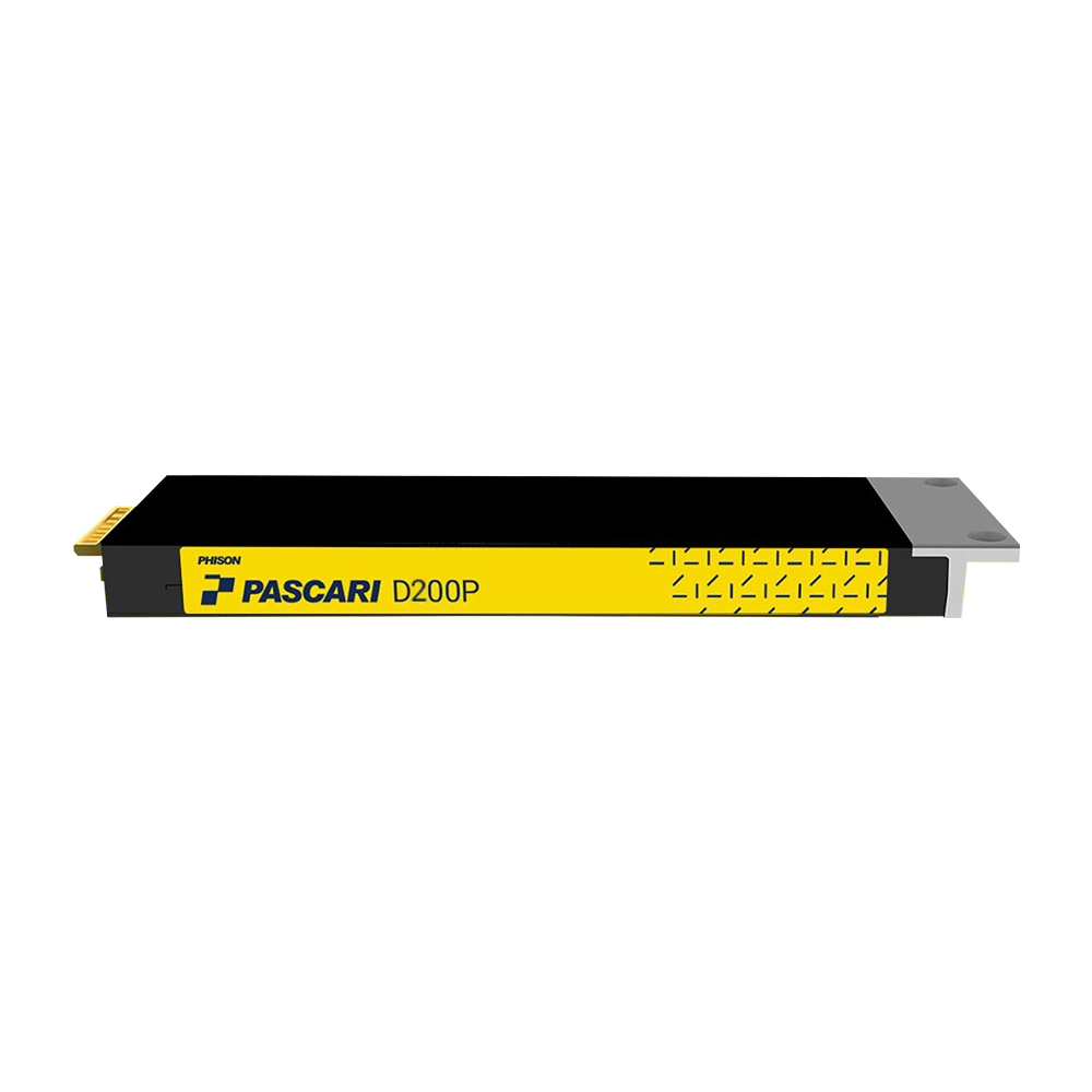 파이슨  D-Series D200P E1.S NVMe