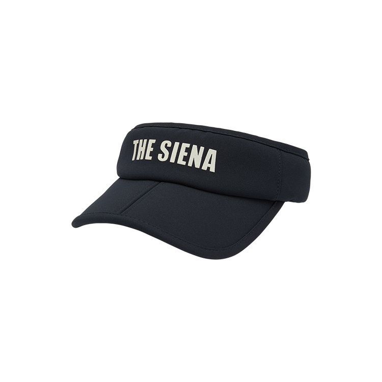 폴딩 선 바이저 PZHA4Z0023 N2