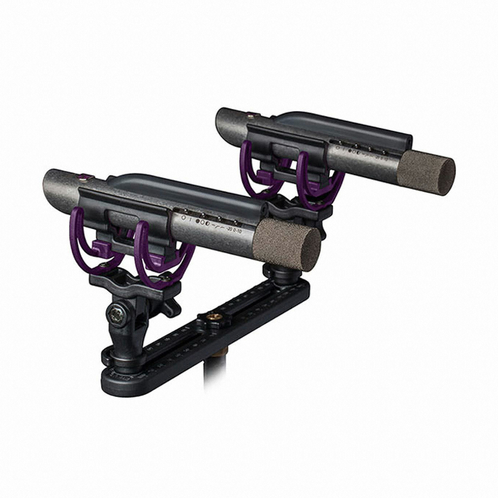 Starlight Stereo Pair