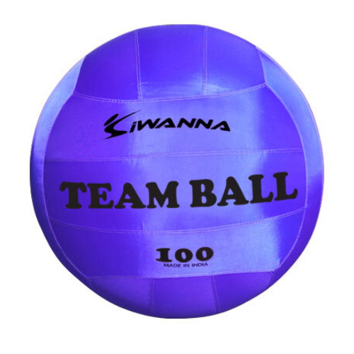 코리아스포츠  아이워너 팀볼 100cm 블루