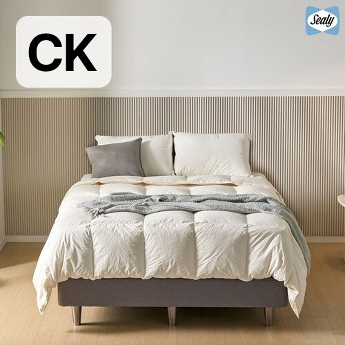 씰리 팀버 침대 CK