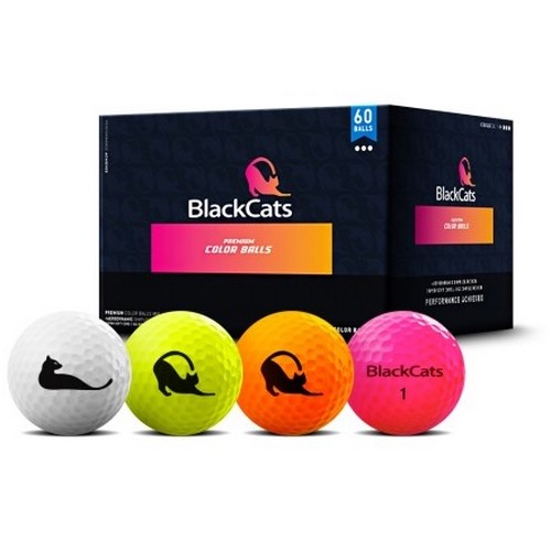 블랙캣츠  프리미엄