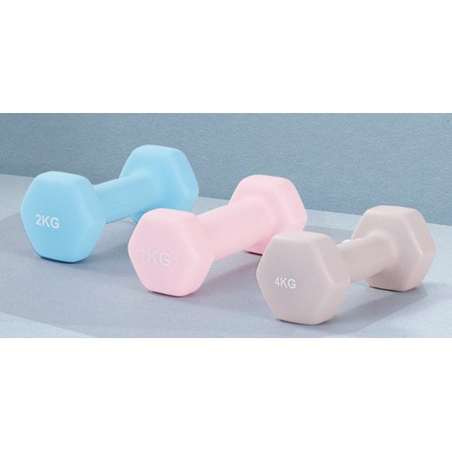  논슬립 아령 [2kg, 2개]