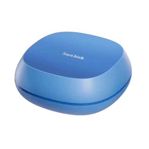 Sandisk  Creator Desk Drive 해외구매