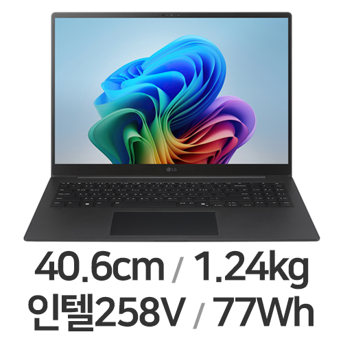 LG전자 2025 그램 프로16 16Z90TS-GU7BK