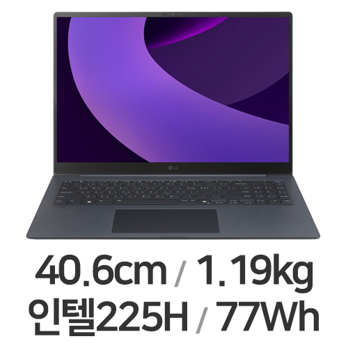 LG전자 2025 그램 프로16 16Z90TP-KA5BK