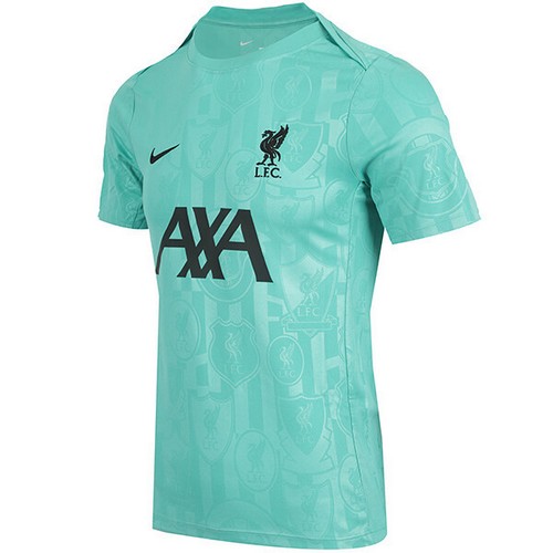 나이키 리버풀 FC 드라이 핏 아카데미 프로 프리매치 탑 FN9653-393