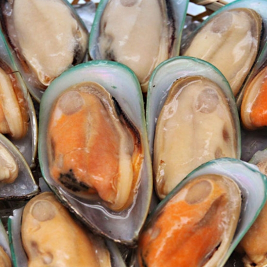 해물총각  그린홍합 800g