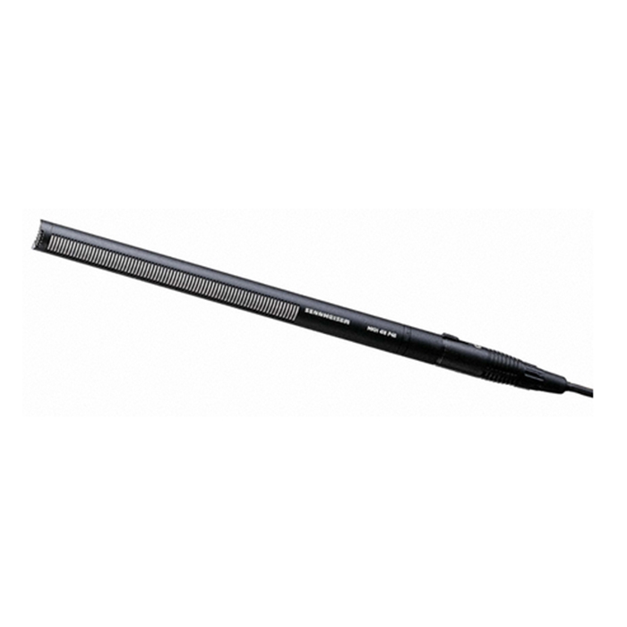 젠하이저  MKH416