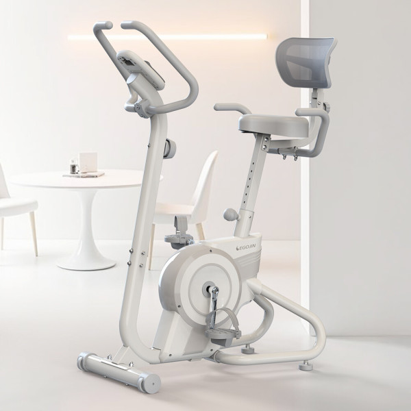 이고진  실내자전거 253U