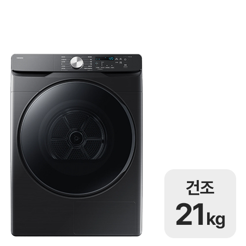 삼성전자 비스포크 그랑데AI DV21DG8200BV