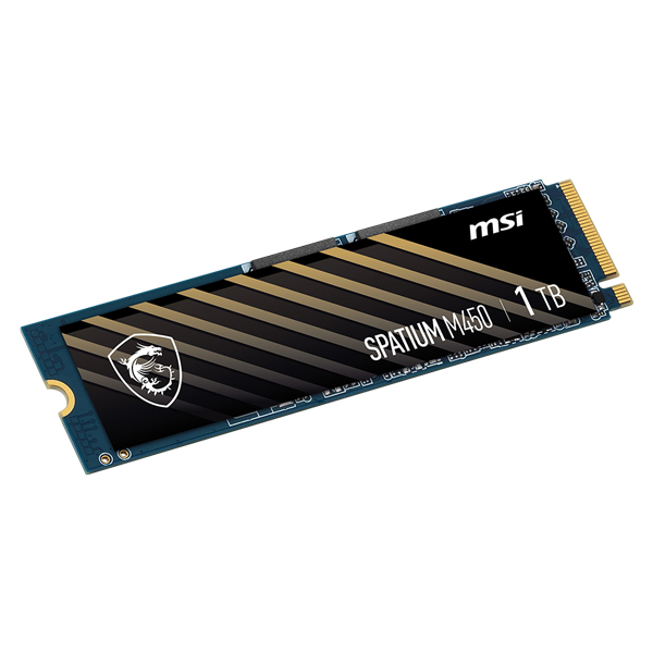 MSI  SPATIUM M450 V1 M.2 NVMe