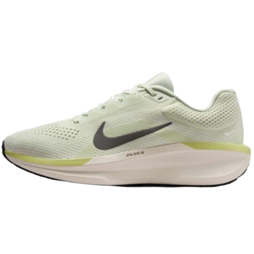 나이키 윈플로 11 FJ9509-007