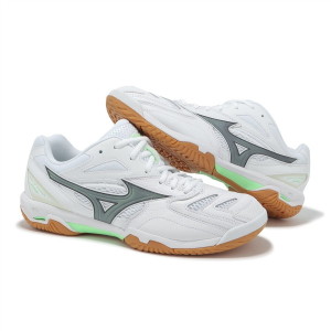 미즈노  웨이브 팡 프로 71GA210071