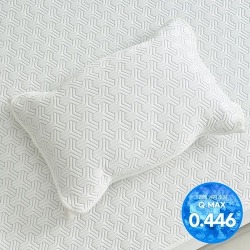 애끌리아 플라이토 HR 3중직 밴딩 냉감 베개덮개