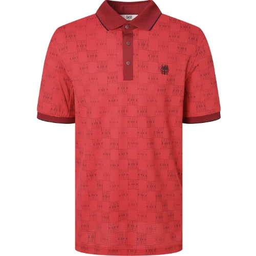 닥스골프 DD패턴 메쉬 반팔카라 DGTS5B553R2