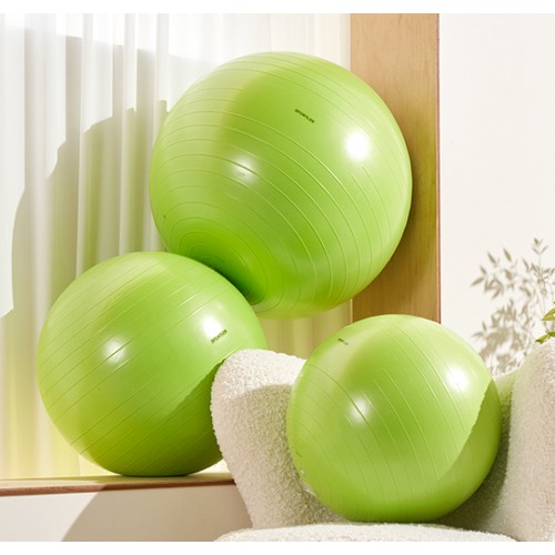 스포틀러  하이퍼 안티버스트 짐볼