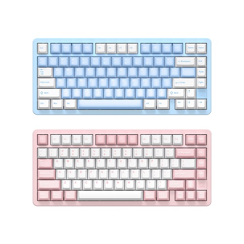 COX  CF75 유무선 기계식 블루레몬젤리