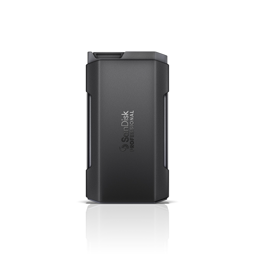 SanDisk Professional PRO-BLADE TRANSPORT 해외구매