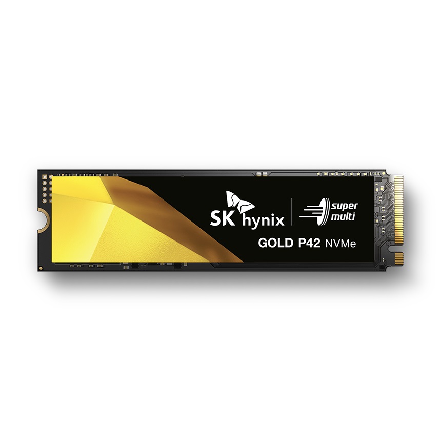 SK하이닉스  Gold P42 M.2 NVMe