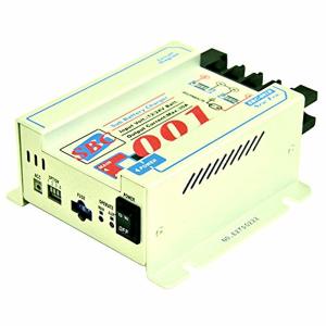 뉴에라 주행충전기 SBC-001B (해외구매)