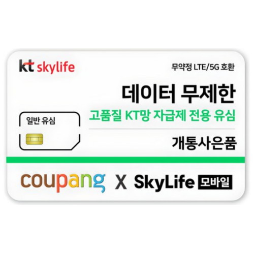 알뜰폰 일반 유심