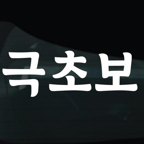 디자인황소 초보운전 스티커 11 극초보