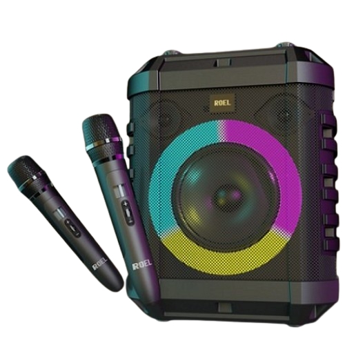 로엘  버스킹 DJ PRO