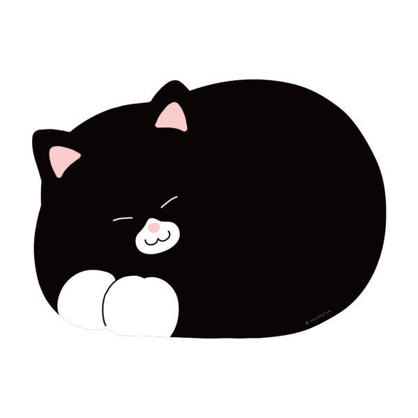 버라이어티숨  잠자는 고양이