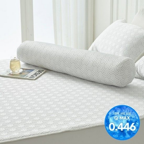 애끌리아 플라이토 HR 3중직 냉감 바디필로우