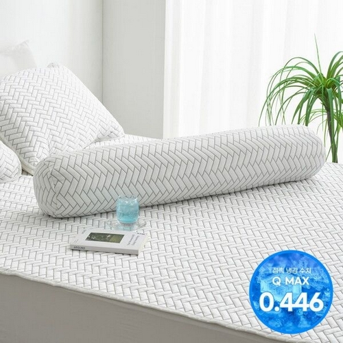 애끌리아 레그노 HR 3중직 냉감 바디필로우