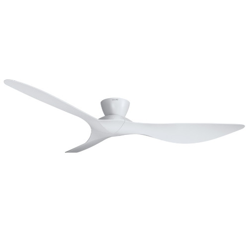 루씨에어  코타라