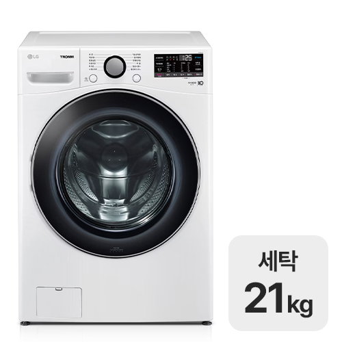 LG전자 트롬 F21WDSP