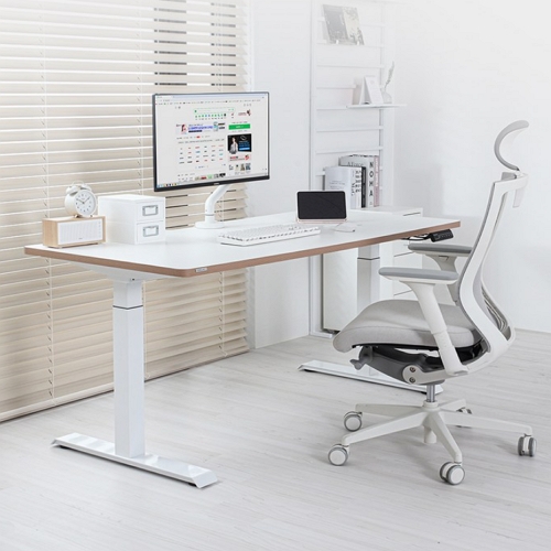 카멜마운트 핏쳐 E2 고강도 듀얼 스퀘어 프레임 모션 스탠딩 책상