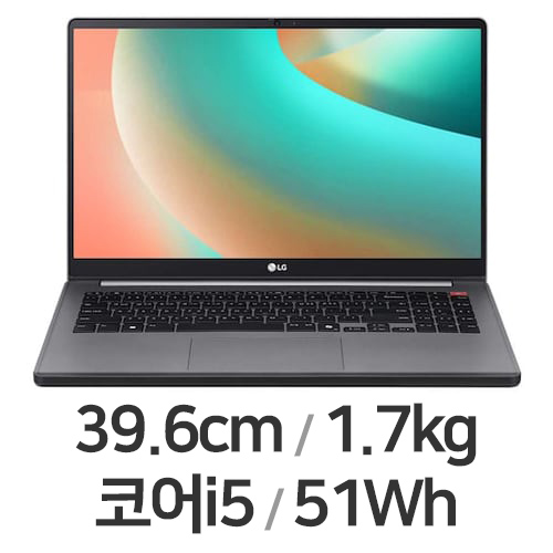 LG전자 울트라PC 15UB50T-GR50SL