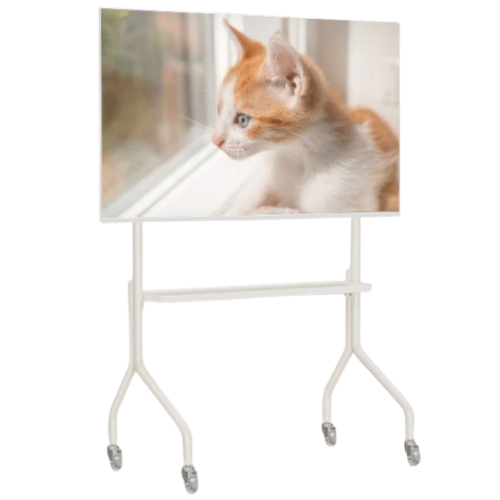 엣지월  EdgeQ 무빙