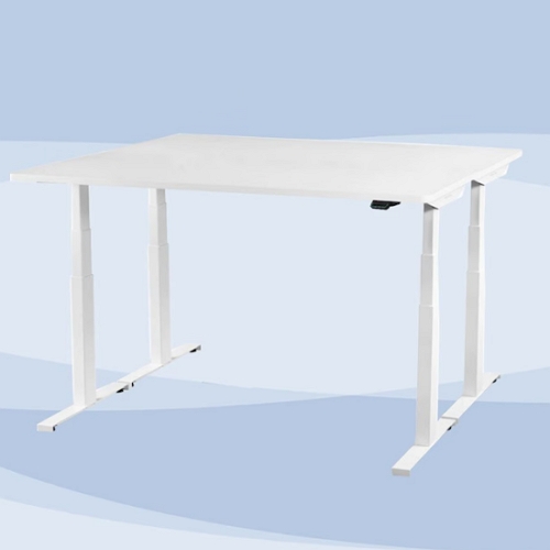 FLEXISPOT 플랜티엠 리낙 쿼드모터 DL6 DPG1C 플러스 수퍼리어형 모션 스탠딩 책상