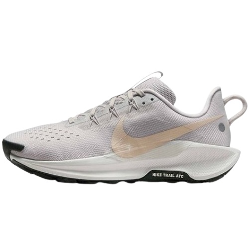 나이키 페가수스 트레일 5 DV3865-009