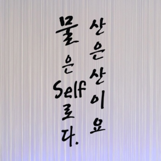 꾸밈  is351 물은셀프로다포인트스티커