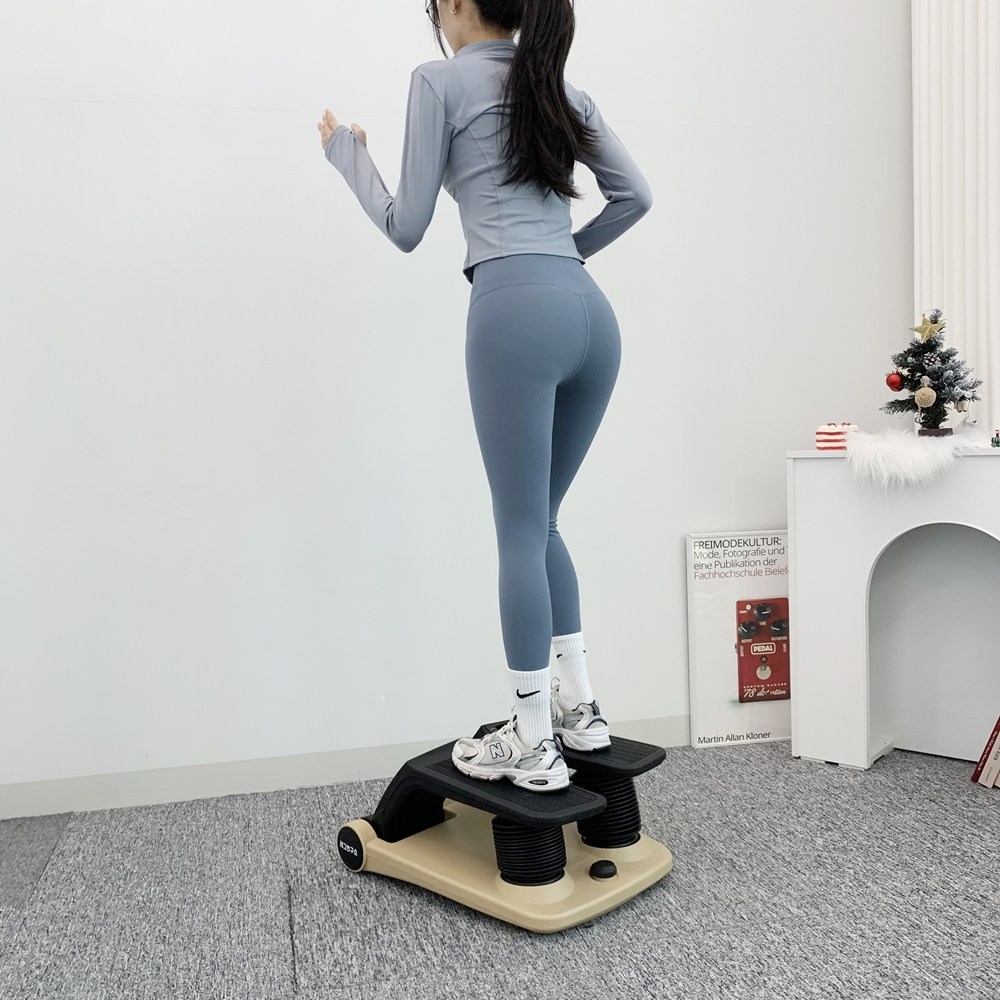 레그연구소 에어스텝퍼