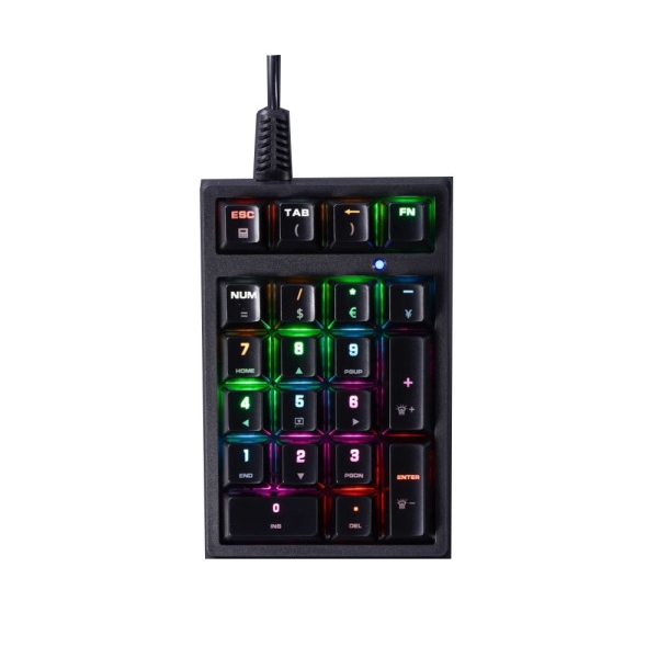 APAYADO T21 기계식