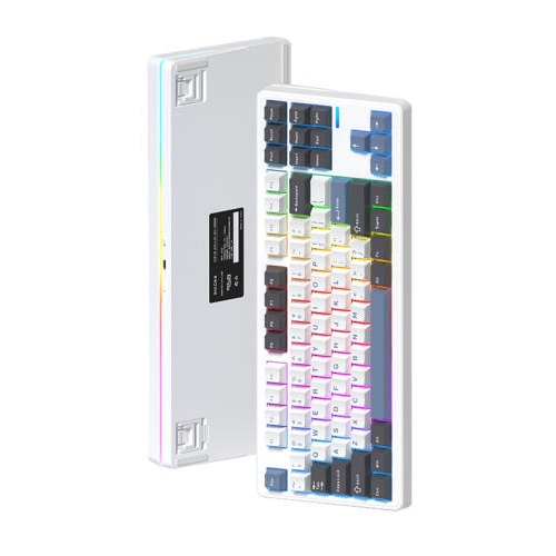 Riccks RS8 V2 유무선 기계식 해외구매