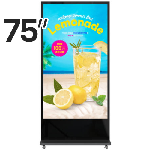 삼성전자  윈스타비투비 WS-QB-750