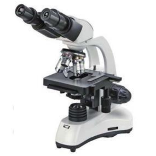 BM-900RB 현미경