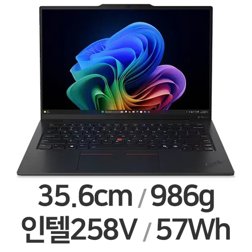 레노버 씽크패드 X1 카본 Gen13 21NSS03500